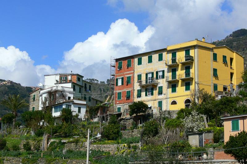 Corniglia (2).JPG